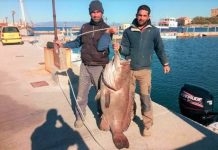 Ψαράς έπιασε με καλάμι σφυρίδα γίγας που ζύγιζε 63 κιλά (Βίντεο)