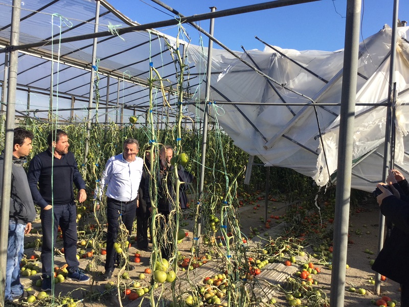 Στήριξη της ΠΕ Κρήτης στους πληγέντες παραγωγούς από την σφοδρή ανεμοθύελλα