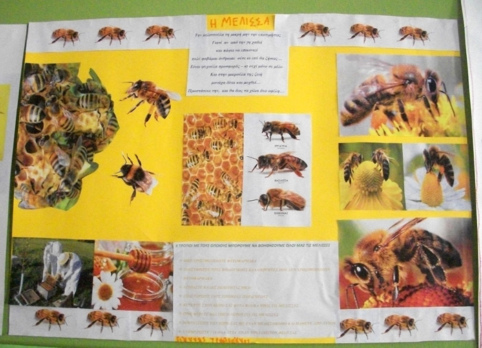 sta-kato-patisia-dimiourgountai-anoteres-mathitikes-syneidiseis-110972