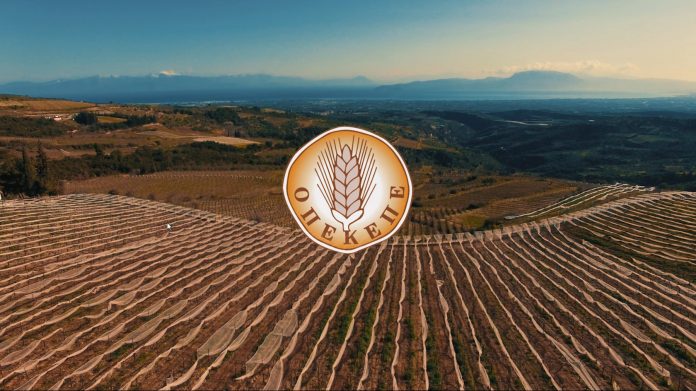 Ενημέρωση ΟΠΕΚΕΠΕ για τις 8μηνες προσλήψεις 50 ατόμων Ενημέρωση ΟΠΕΚΕΠΕ για τις 8μηνες προσλήψεις 50 ατόμων
