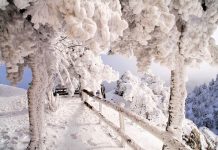 Χιονίζει στο Πήλιο - Κλειστά τα σχολεία στα ορεινά