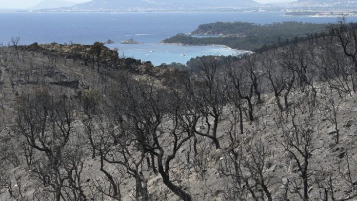 Forest_Fire_France Forest_Fire_France