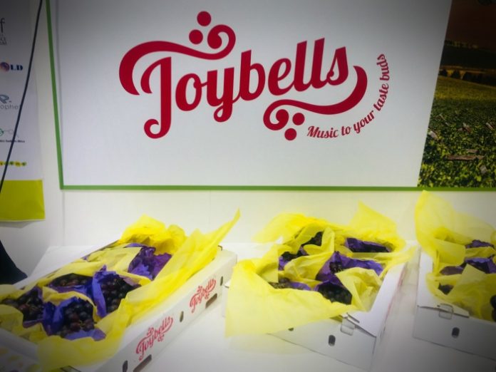 Joybells-STAFULLI Joybells-STAFULLI