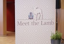 Meet the lamb: Δράσεις για το ευρύ κοινό σε Αθήνα και Θεσσαλονίκη