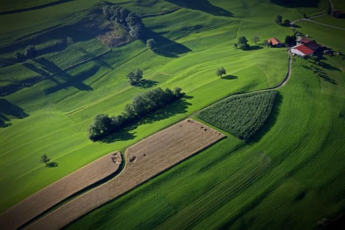 elvetia-oi-ypiresies-ton-agroton-ston-tomea-tou-oikosystimatos-einai-me-to-azimioto-116029
