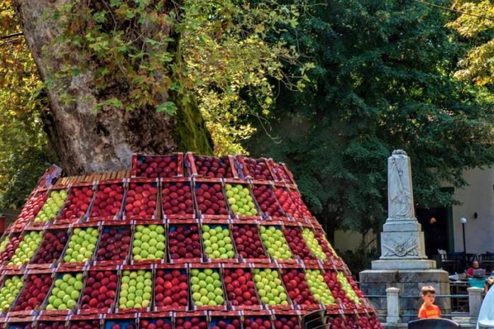ethniko eyretirio aylis politistikis klironomias agrotikos synetairismos zagoras355