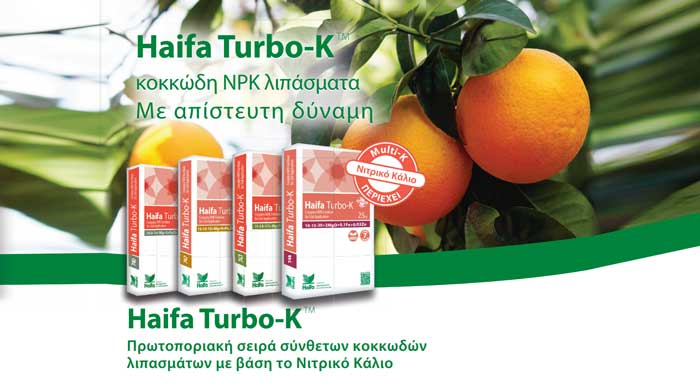 haifa-turbo-k-h-monadiki-lysi-threpsis-gia-megistopoiisi-tis-apodosis-188264