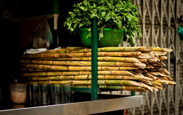 Κομοτηνή: Από Πετιμέζι Γεννησέας το πρώτο ευρωπαϊκό ρούμι;