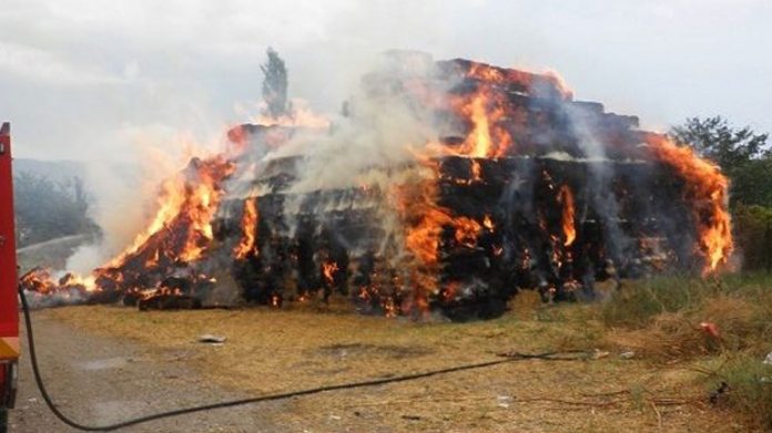Πυρκαγιά έκαψε ποιμνιοστάσιο και αρκετά ζώα στα Φάρσαλα