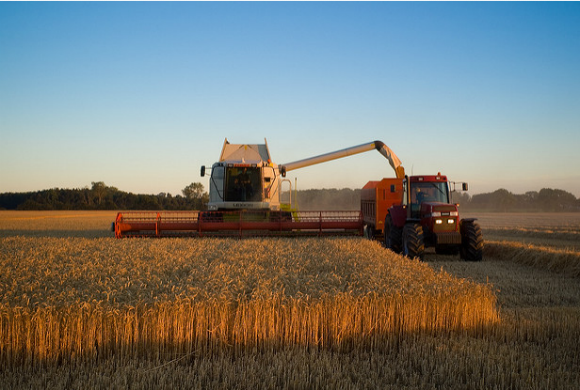 agriculture-denmark