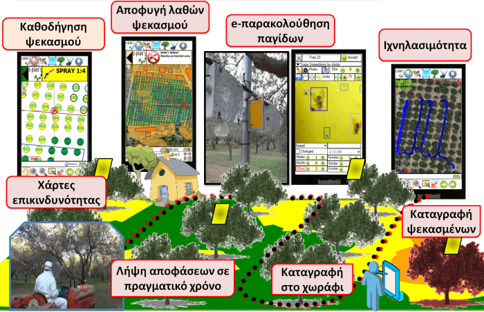 Ηλεκτρονικές παγίδες αναγνωρίζουν και καταμετρούν τον δάκο