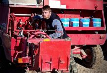 Ο 24χρονος αγρότης που διαχειρίζεται 800 στρέμματα, επενδύοντας στη γνώση