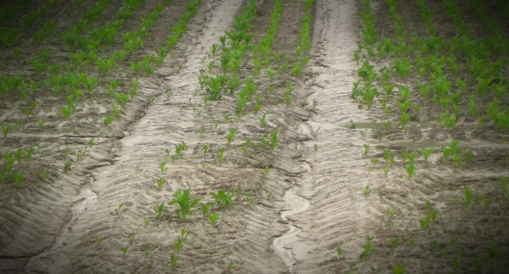 i-diavrosi-tou-edafous-kostizei-stous-evropaious-agrotes-125-dis-etisios-117124