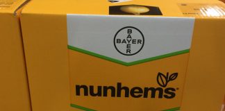 H ΒASF «τσεκάρει» τους σπόρους λαχανικών της Bayer