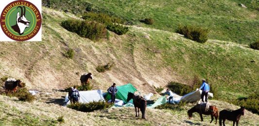 Λεηλασία στον Γράμμο: Ο φακός “συνέλαβε” 20 …εργάτες αρωματικών φυτών (φωτορεπορτάζ)