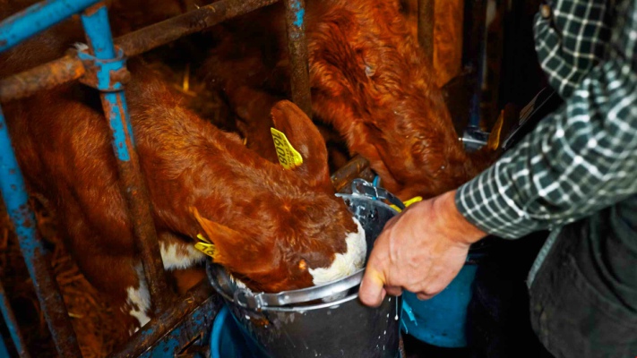 arla-kovei-apo-tis-dapanes-gia-na-dosei-stous-paragogous-122238