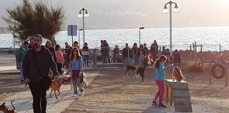 Εγκαίνια για το πρώτο πάρκο σκύλων στην Κρήτη