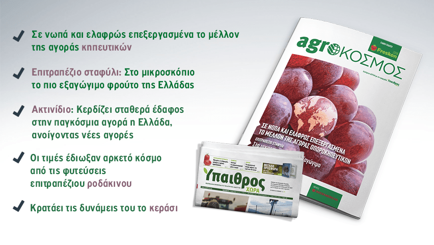 dorean-me-tin-ypaithro-chora-eidiki-ekdosi-gia-tin-freskon-2018-121182