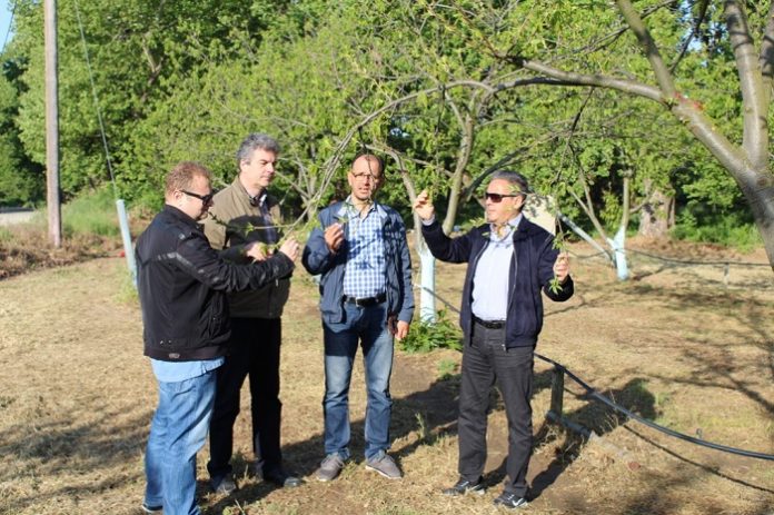 Γεωπονικοί έλεγχοι για τις σφήκες σε καστανιές στον Δήμο Αγιάς Γεωπονικοί έλεγχοι για τις σφήκες σε καστανιές στον Δήμο Αγιάς