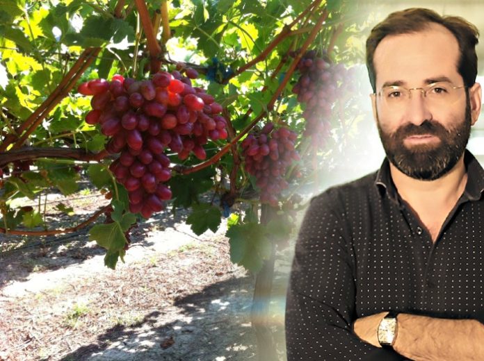 Μαρκος λεγγας, προεδροσ «πηγασοσ αγροδιατροφη ΑΣ» Μαρκος λεγγας, προεδροσ «πηγασοσ αγροδιατροφη ΑΣ»