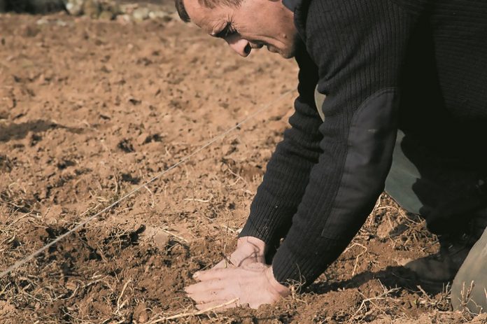 Μεγάλη ανταπόκριση στις προσκλήσεις του ΠΑΑ, οι καθυστερήσεις δεν πτούν τους Έλληνες παραγωγούς Μεγάλη ανταπόκριση στις προσκλήσεις του ΠΑΑ, οι καθυστερήσεις δεν πτούν τους Έλληνες παραγωγούς
