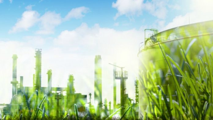 viooikonomia-bioeconomy-startups viooikonomia-bioeconomy-startups