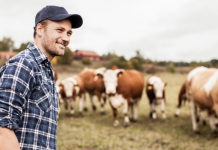 Χρηματοδότηση 30.000 ευρώ από Bayer σε φάρμες που μεριμνούν για την ευζωία των βοοειδών