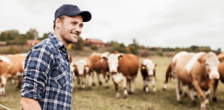 Χρηματοδότηση 30.000 ευρώ από Bayer σε φάρμες που μεριμνούν για την ευζωία των βοοειδών