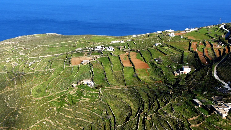 anadeixi-kai-axiopoiisi-tou-agrodiatrofikou-ploutou-ton-kykladon-123581