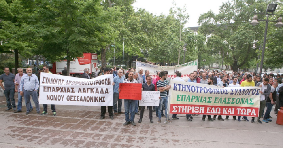 larisa-diamartyria-ktinotrofon-me-aformi-tin-parousia-apostolou-sto-synedrio-tou-economist-122598