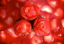 Διαβάσθηκε το DNA του τριαντάφυλλου - Μεγάλη συγγένεια με τη φράουλα