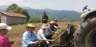 Φυτεύοντας Τσάι Ολύμπου στο Ελατοχώρι Πιερίας