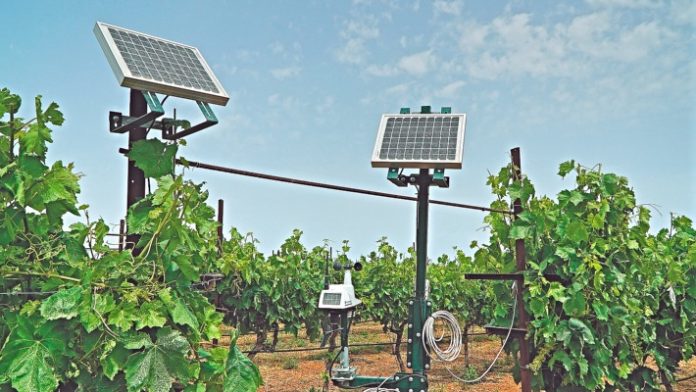 greek-technology-smart-agriculture