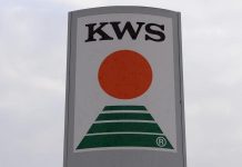Η γερμανική KWS Saat θέλει τους σπόρους λαχανικών της Bayer
