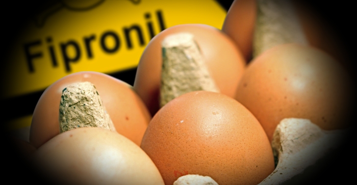 efsa-ollandika-schedon-ola-ta-molysmena-me-fipronil-avga-123916