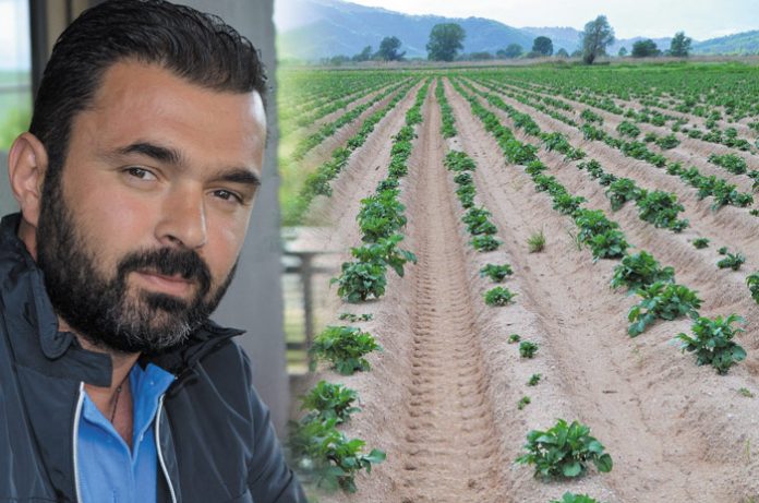 patata-neurokopiou-paragwgos Την ώρα που οι Έλληνες καταναλωτές αγοράζουν αιγυπτιακή πατάτα, η ΠΓΕ Νευροκοπίου πουλήθηκε φέτος έως και 6 λεπτά με μέσο όρο τα 10-12 λεπτά.