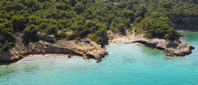 ΠΕ Νήσων Αττικής: Πρόσκληση υποβολής δηλώσεων για το πρόγραμμα «Πολιτισμός και Περιβάλλον “Εν Πλώ”» ΠΕ Νήσων Αττικής: Πρόσκληση υποβολής δηλώσεων για το πρόγραμμα «Πολιτισμός και Περιβάλλον “Εν Πλώ”»