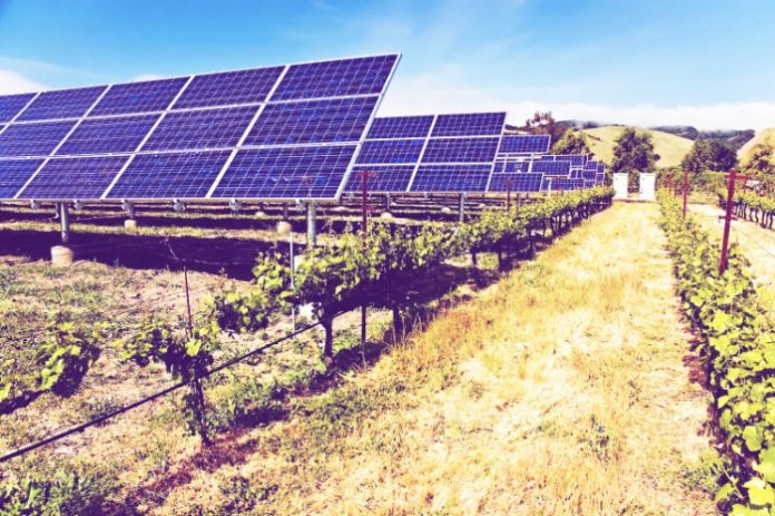 photovoltaika-agrotes photovoltaika-agrotes