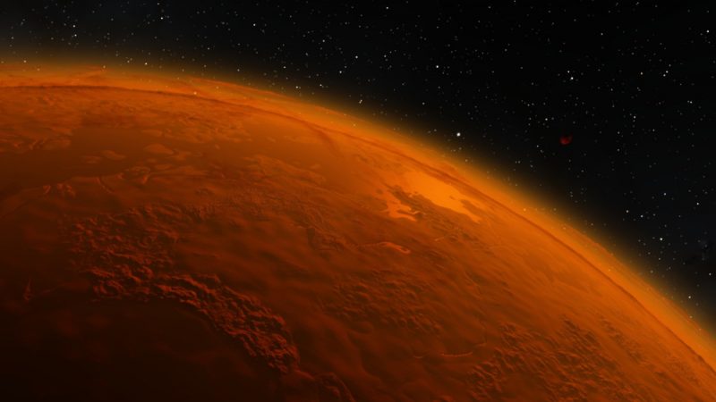 efikti-i-elaiokalliergeia-ston-planiti-ari-125429