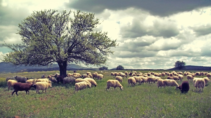 anaklisi-tis-kya-gia-ta-voskotopia-zitaei-i-g-a-s-i-enosi-agroton-125111