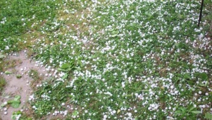 Περισσότερες από 2.400 αιτήσεις αποζημίωσης στον ΕΛΓΑ από παραγωγούς της Δυτικής Ελλάδας Περισσότερες από 2.400 αιτήσεις αποζημίωσης στον ΕΛΓΑ από παραγωγούς της Δυτικής Ελλάδας