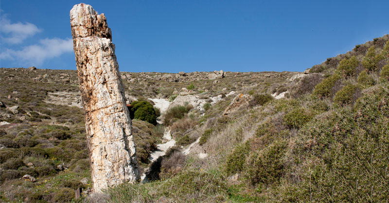 lesvos-archisan-oi-ergasies-tou-diethnous-scholeiou-geoparkon-126509