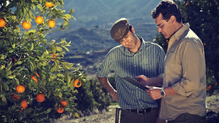 agrotikes-ektaseis-enisxiseis Στα χέρια των ετεροεπαγγελματιών ιδιοκτητών γης το ένα τρίτο των άμεσων ενισχύσεων