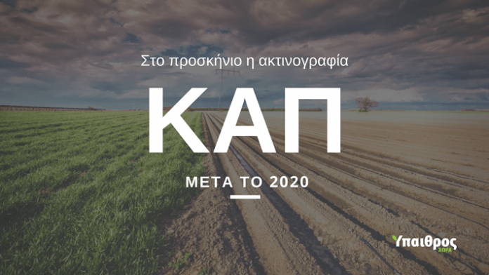 cap-2020 cap-2020