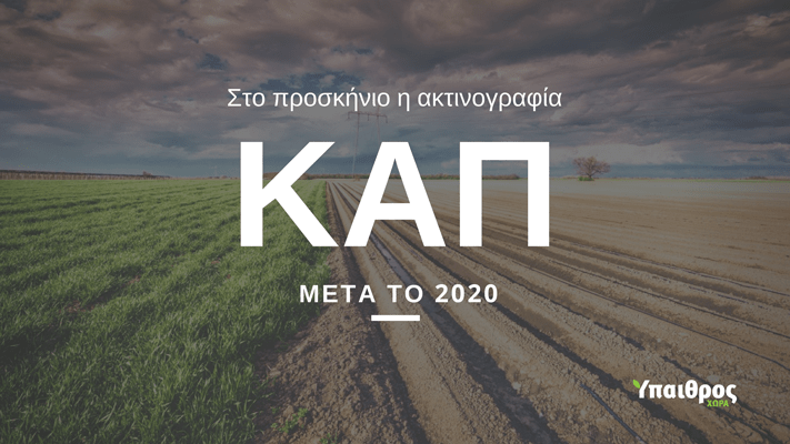 ti-neo-mas-fernei-i-proteinomeni-nea-kap-kai-pos-afti-tha-epireasei-tin-elliniki-georgia-127821