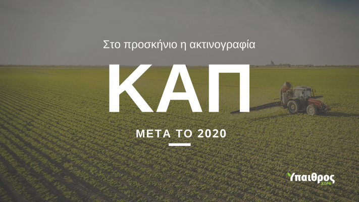 h-kap-meta-to-2020-ti-allazei-stis-ameses-enischyseis-128590