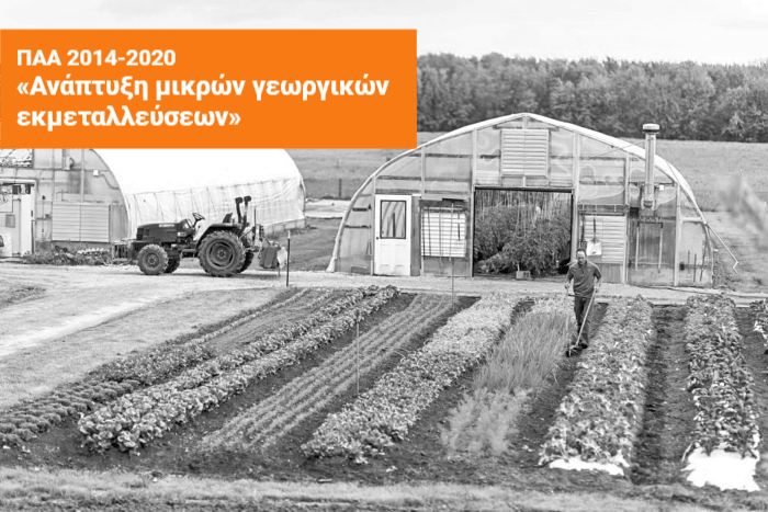 14-000-evro-enischysi-gia-tin-anaptyxi-ton-mikron-georgikon-ekmetallefseon-128638