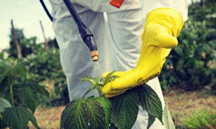 fytofarmaka-psekasmos