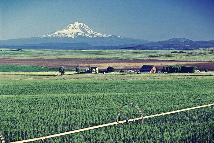 schedon-i-misi-kalliergisimi-gi-stis-ipa-anikei-se-mi-agrotes-126179