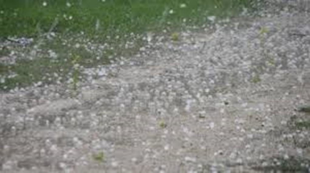 amesi-katagrafi-zimion-apo-tin-chalazoptosi-sta-trikala-zita-to-ypaat-apo-ton-elga-127039